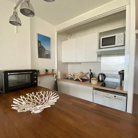 T2 Vue Exceptionnelle Sur Le Bassin D'arcachon Daire